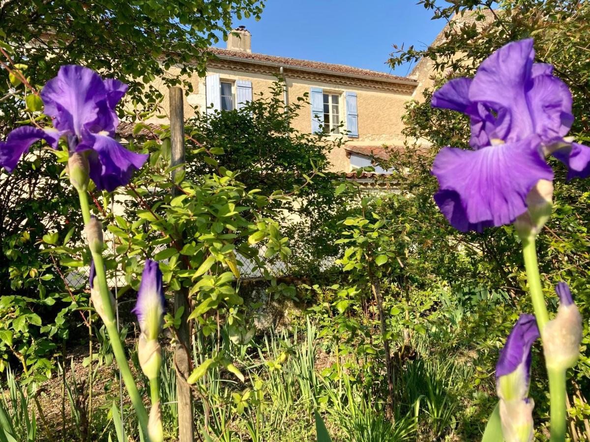 Valence-sur-Baise Le Petit Cochon B&B 외부 사진