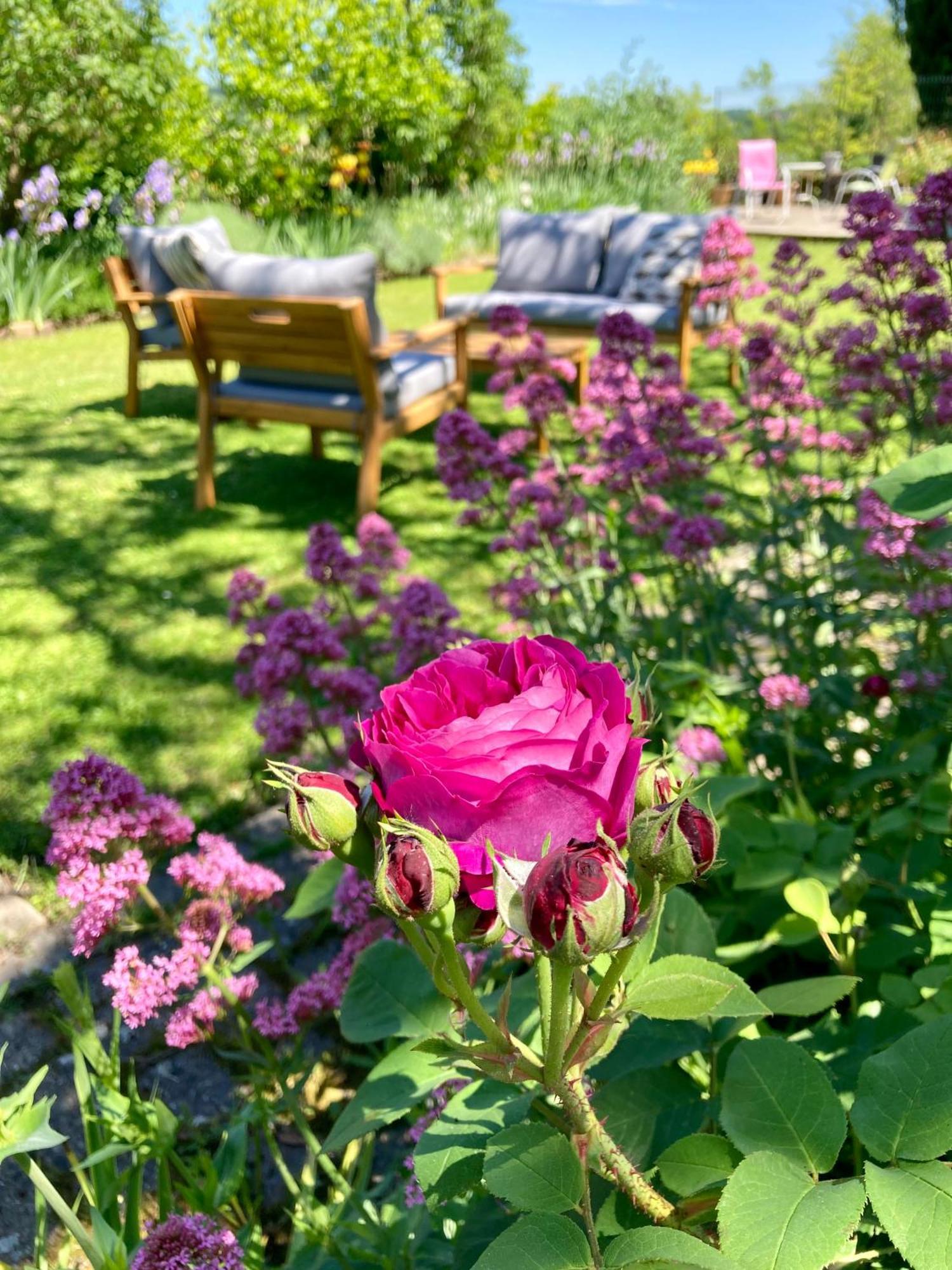 Valence-sur-Baise Le Petit Cochon B&B 외부 사진